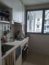 A Treasure Trove (D19), Condominium #564231231